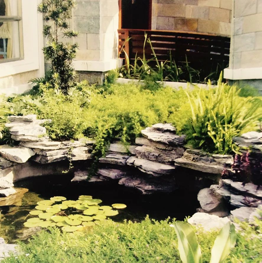 夏日庭院水景设计 | 营造清凉的休闲空间-11