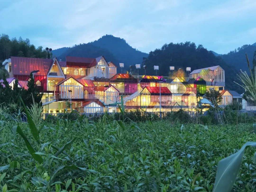 《我和我的家乡》好评如潮，杭州最美乡村小学也出圈了!-1