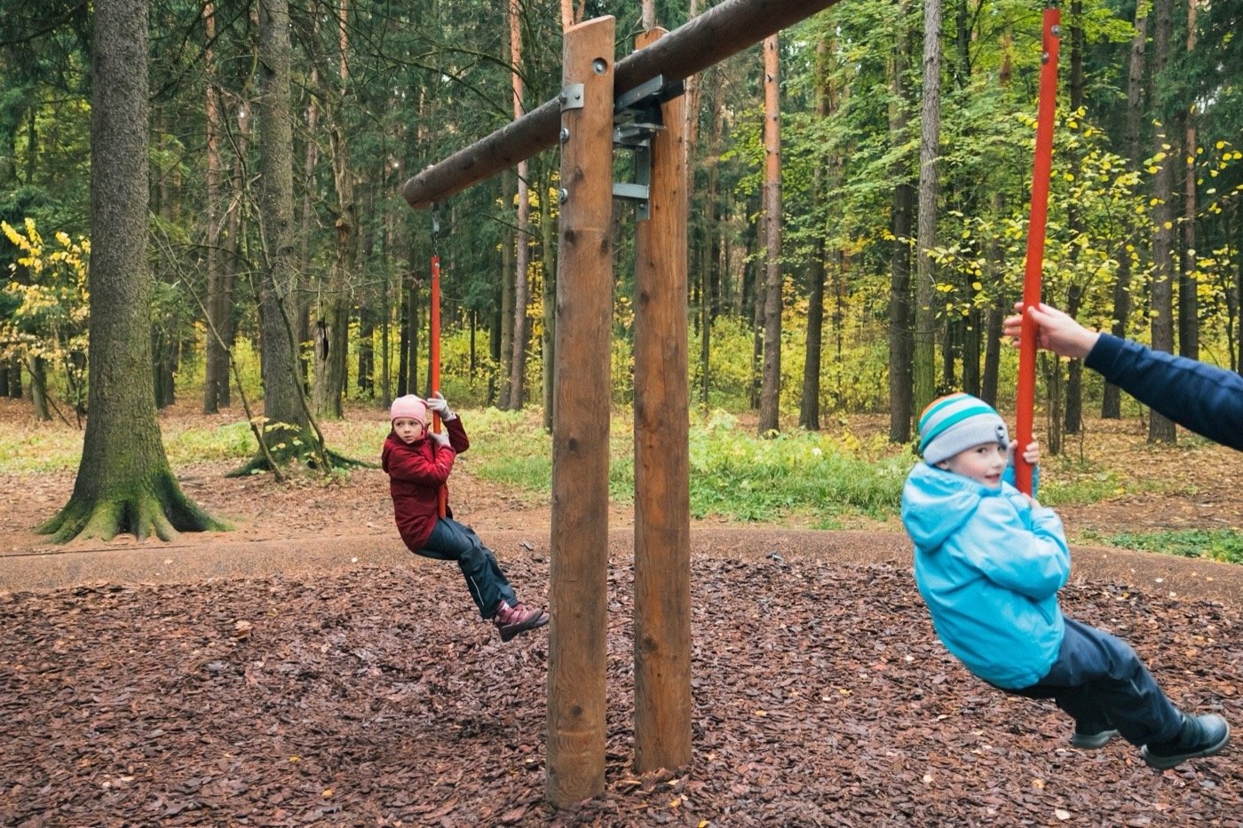 俄罗斯梅舍斯基森林景观丨不详-24