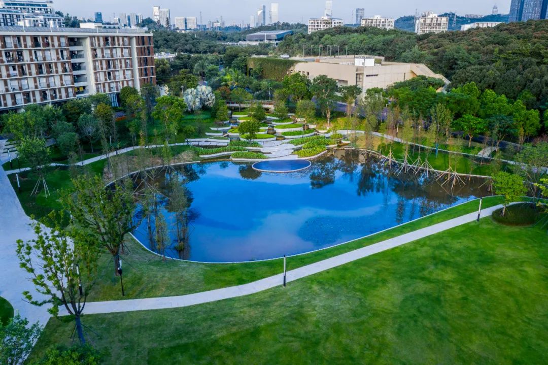 隐入山水脉络的生态校园 · 深圳南科大景观设计丨中国深圳丨湖北城隆市政园林设计研究有限公司-78
