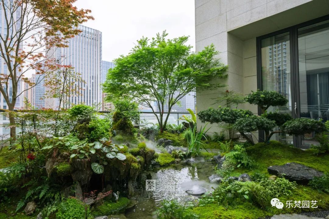 涵麓渡W会所花园丨中国成都丨成都乐梵缔境园艺有限公司-102