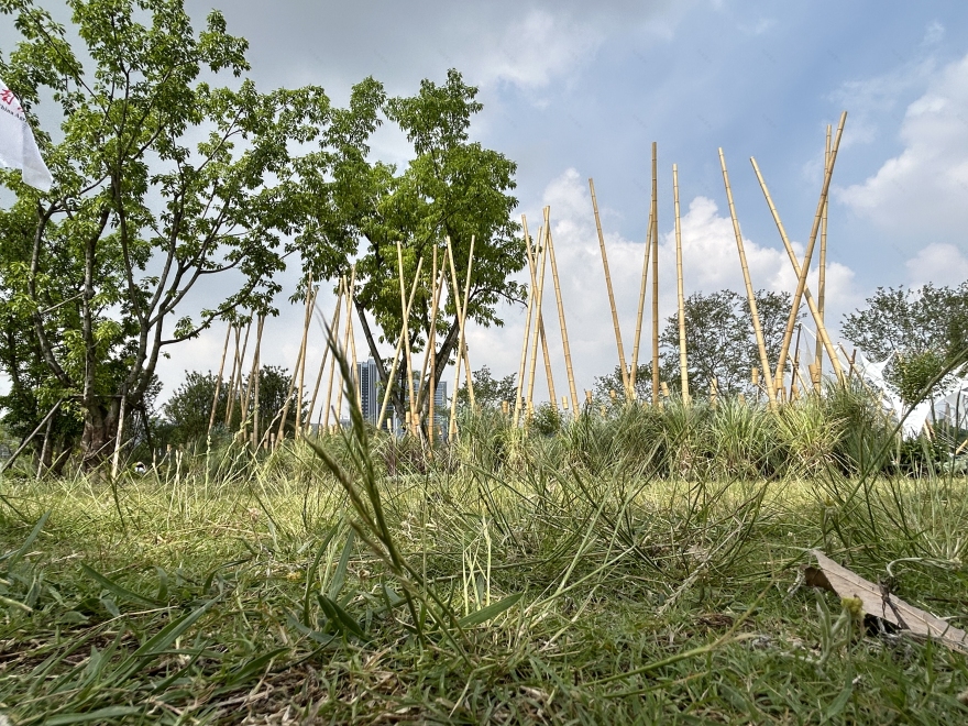 竹林丨中国成都丨Atelier Folie(北林风景建筑研究中心)-28