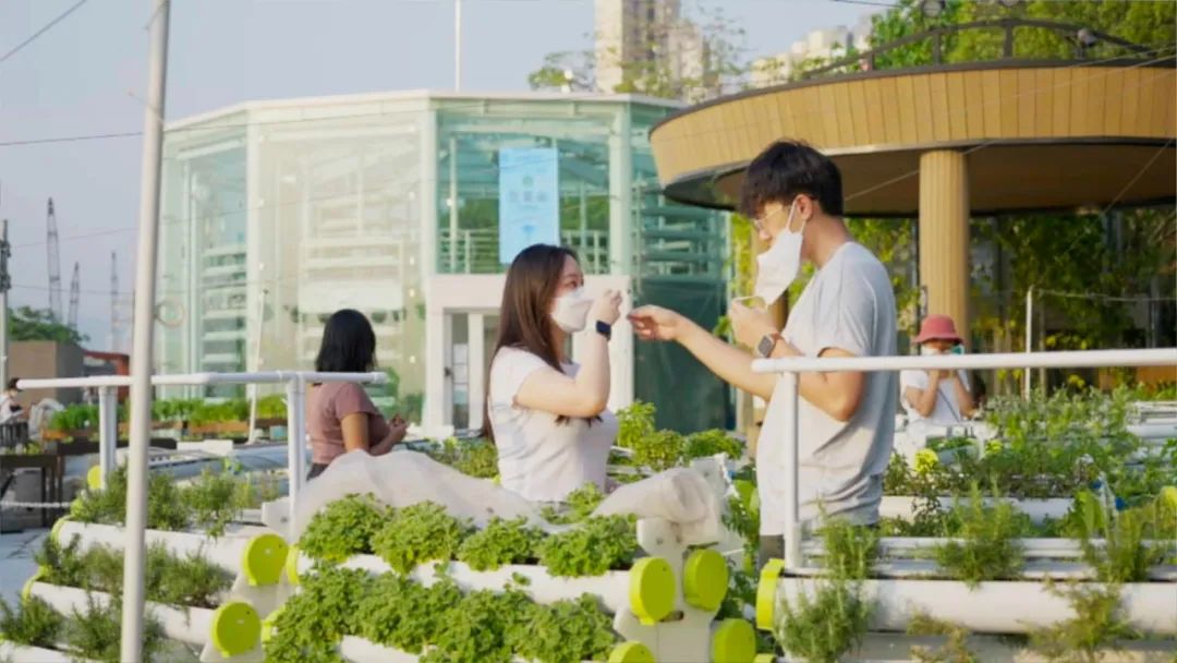 香港KFarm · 高科技农场的绿色奇迹丨中国香港丨陈启豪等-19