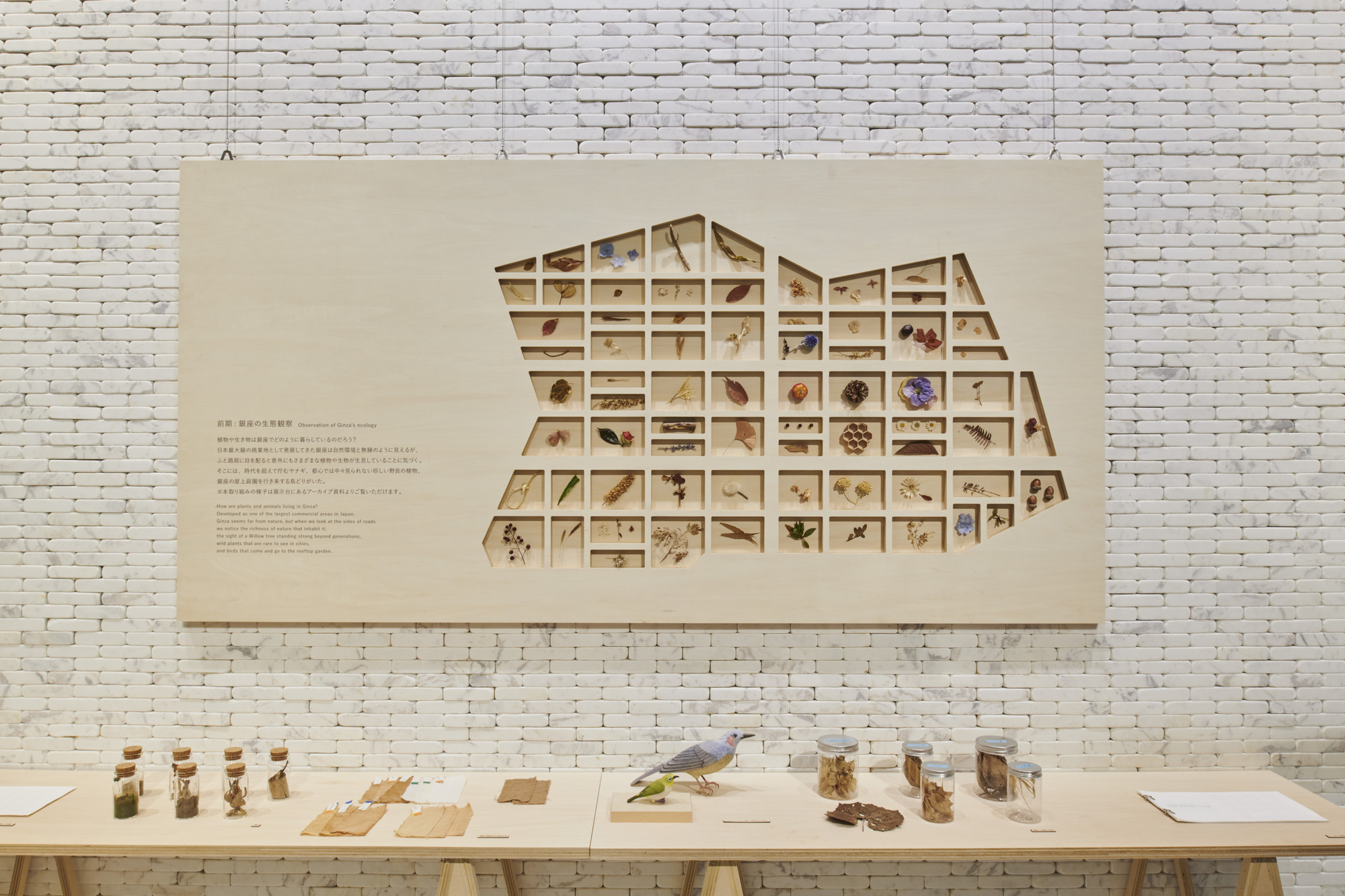 银座生态地图丨JapanTokyo丨Hakuten Corporation-29