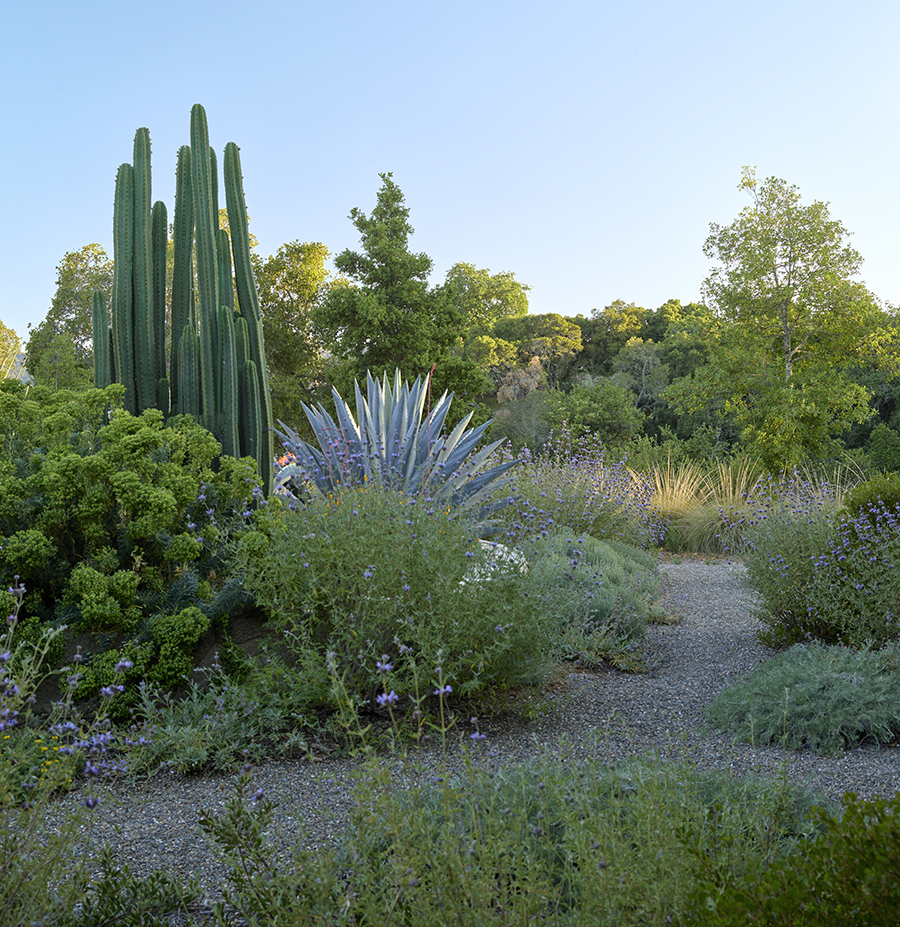 加州海岸岭住宅丨中国金山丨Scott Lewis Landscape Architecture-39