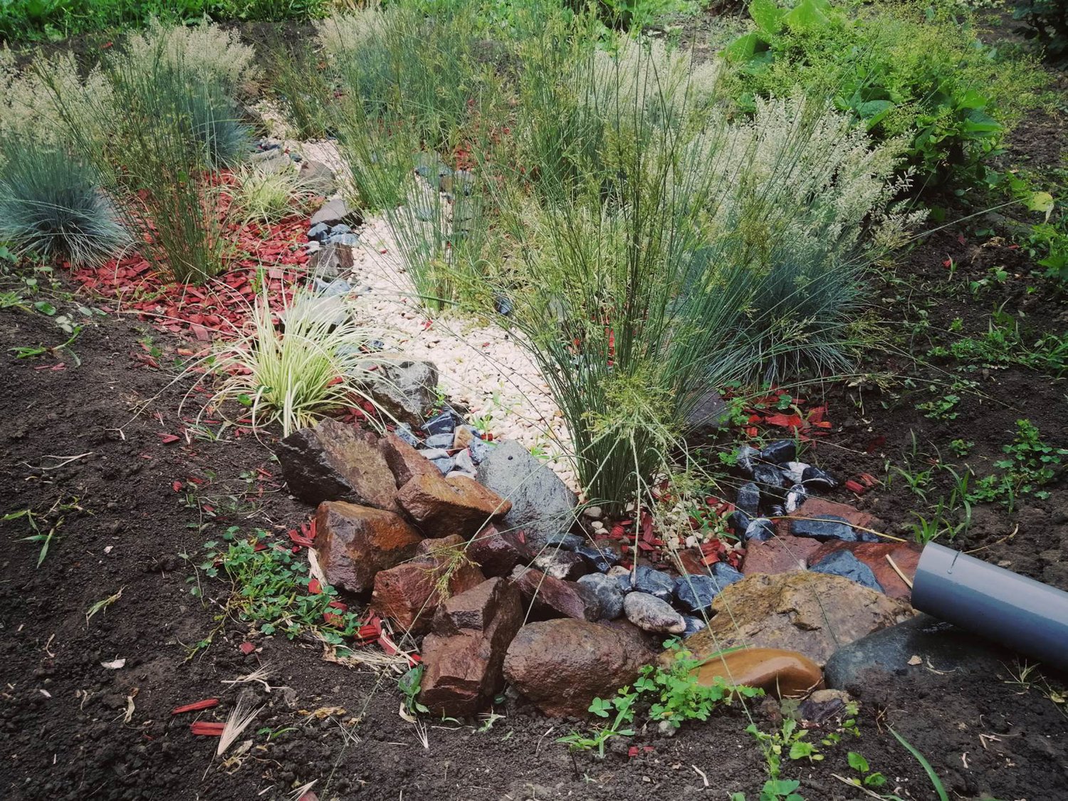Kaću雨水花园项目丨诺维萨德丨Amela Greksa（景观建筑学硕士工程师）-0
