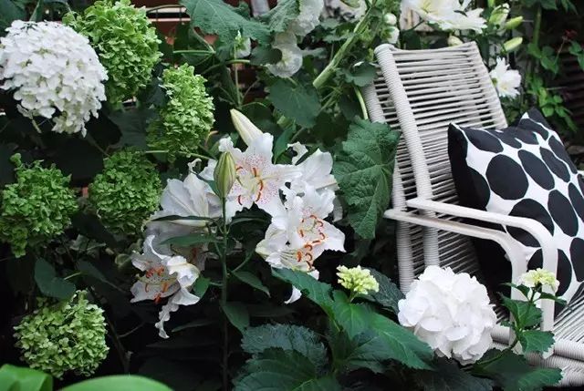 她在楼顶悄悄建了一座梦想花园，美翻了！这才是把日子过成诗的样子-119