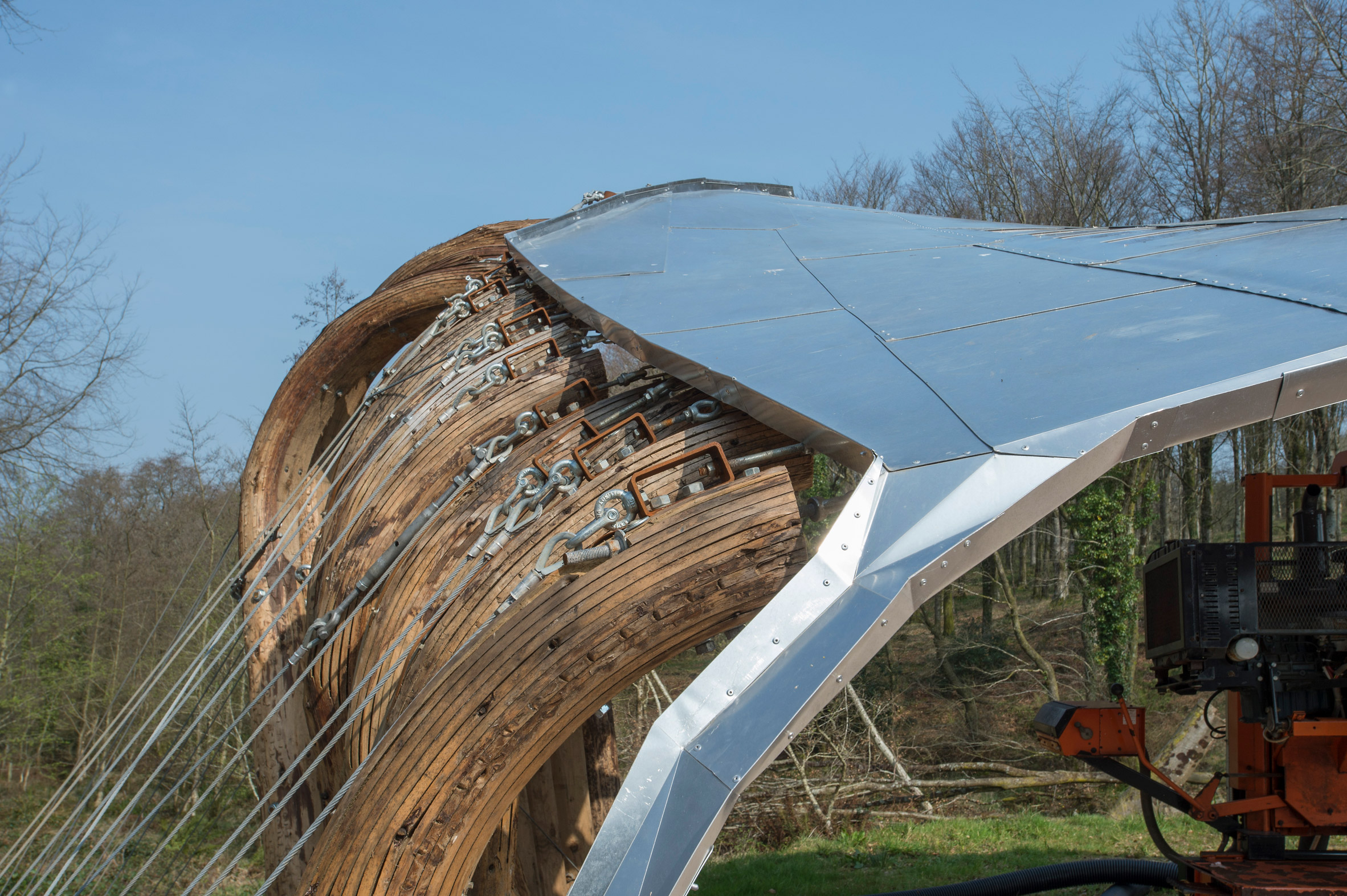 AA Design - Make students test the limits of timber in tensile woodland canopy-18