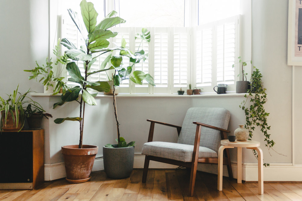 疫情下的居家生活 | 小空间里的大乐趣-10