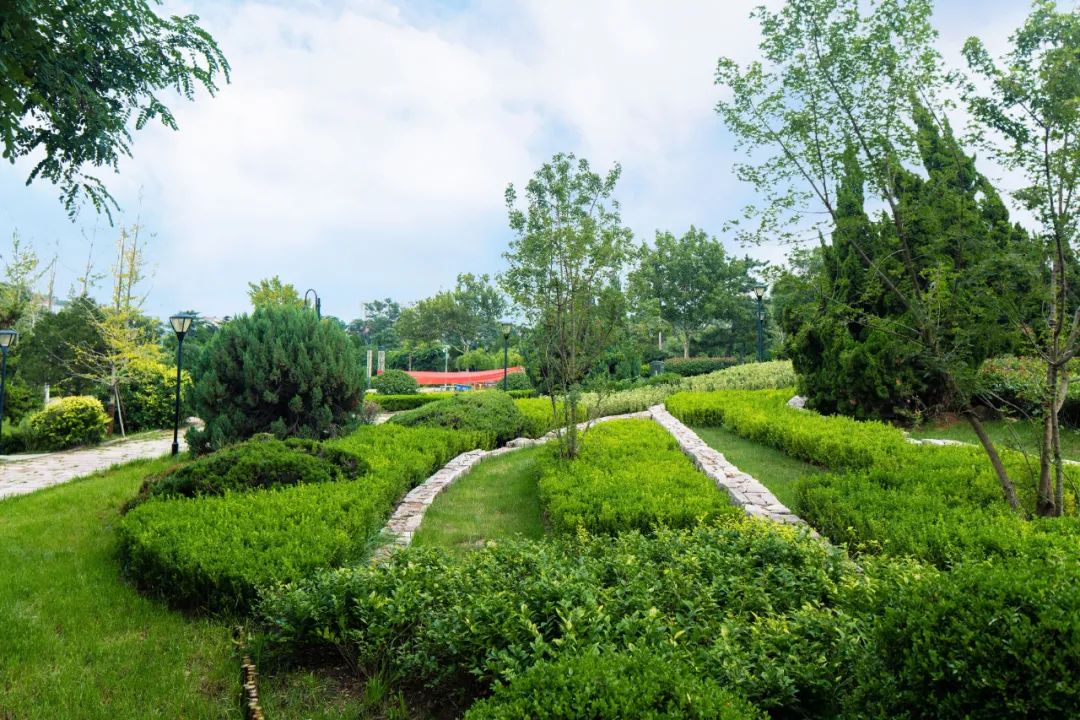 青岛烟墩山公园景观改造-47