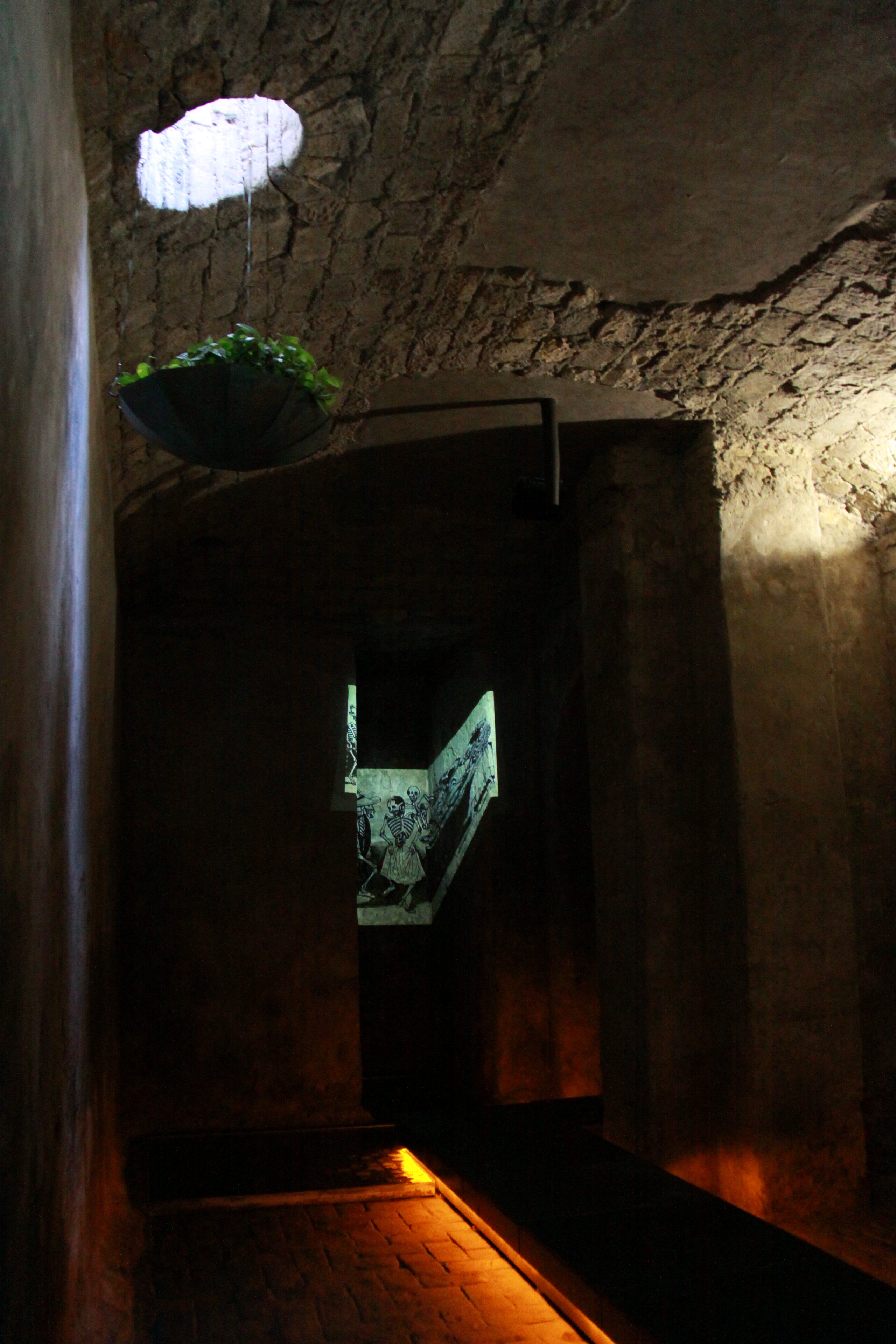 Museum for one object（单一物品博物馆）丨墨西哥丨Agostino BOSSI-64