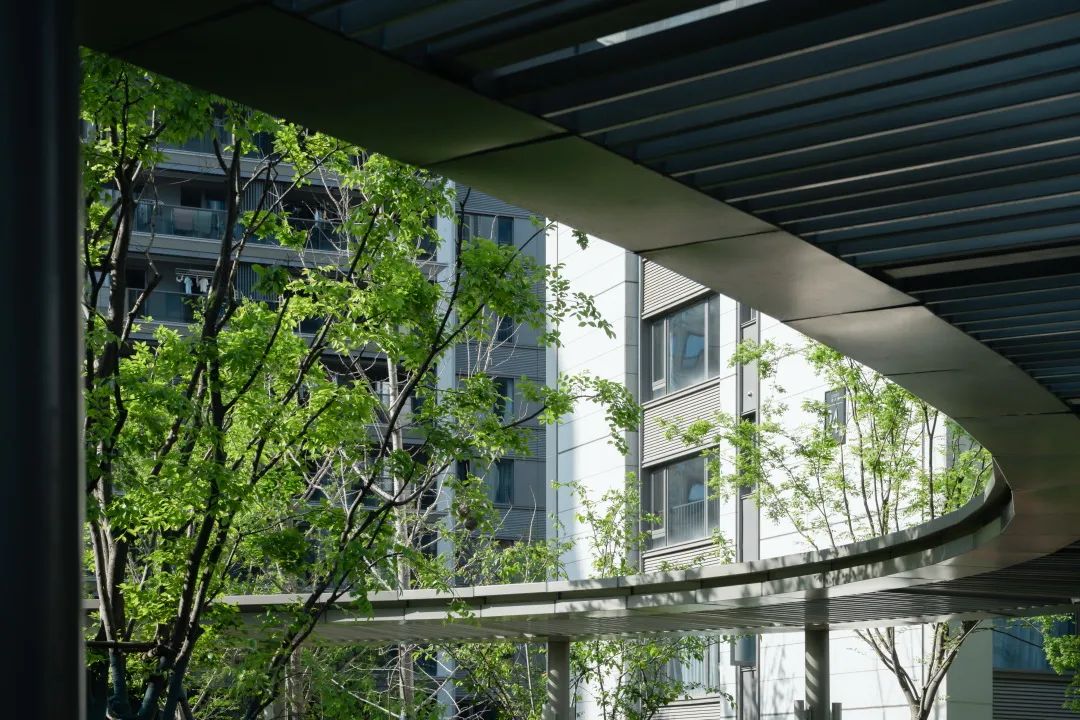 中南作品 | 杭州棠玥湾，屹立城市的艺术坐标-31