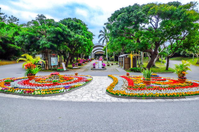 热带梦幻中心（海洋博公园内）丨日本冲绳-11