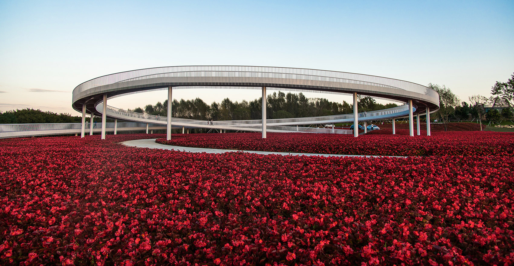 梅河口浪漫花海公园丨中国吉林丨麦田景观-32