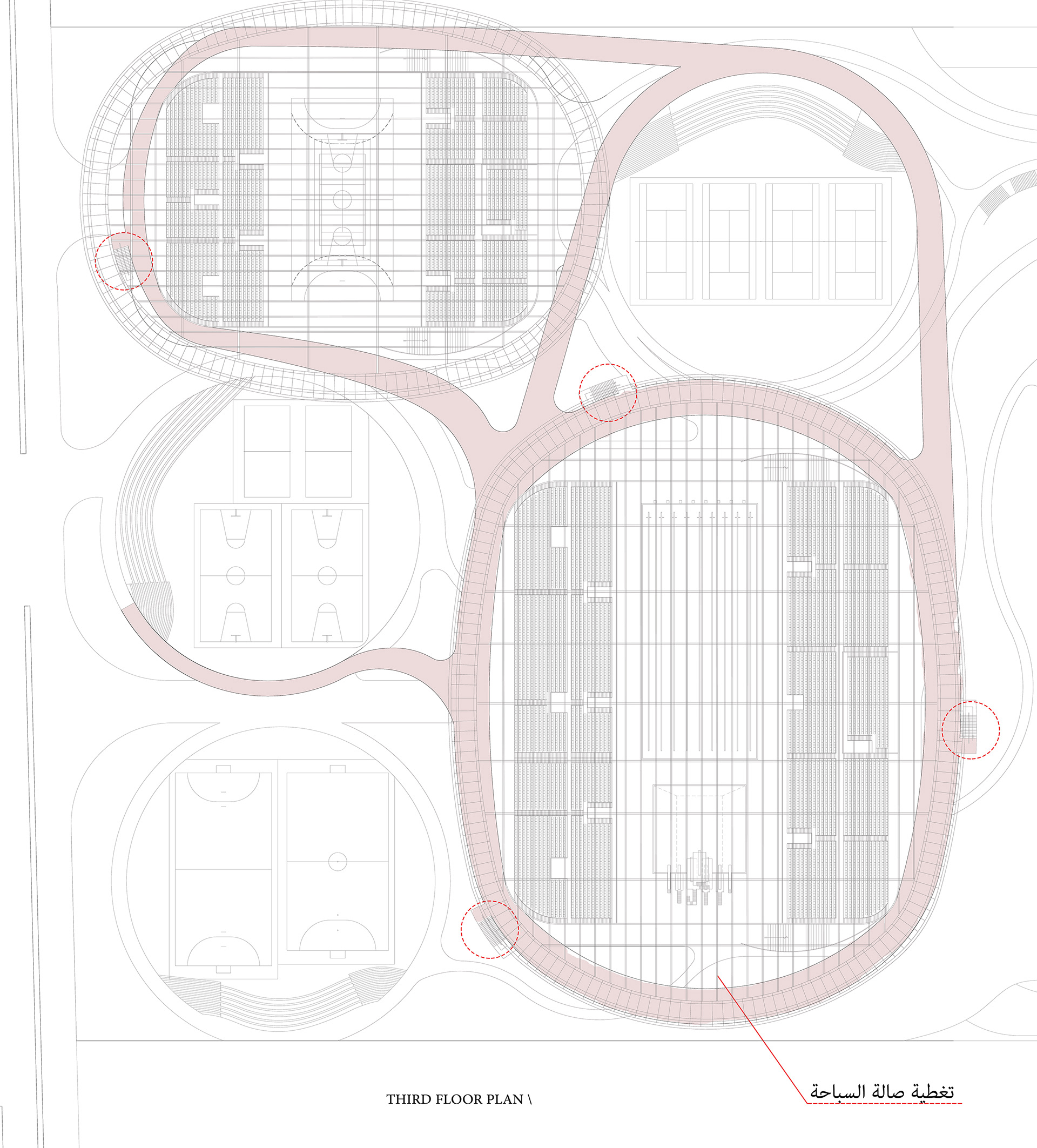 SPORTS PARK 体育公园丨埃及-25