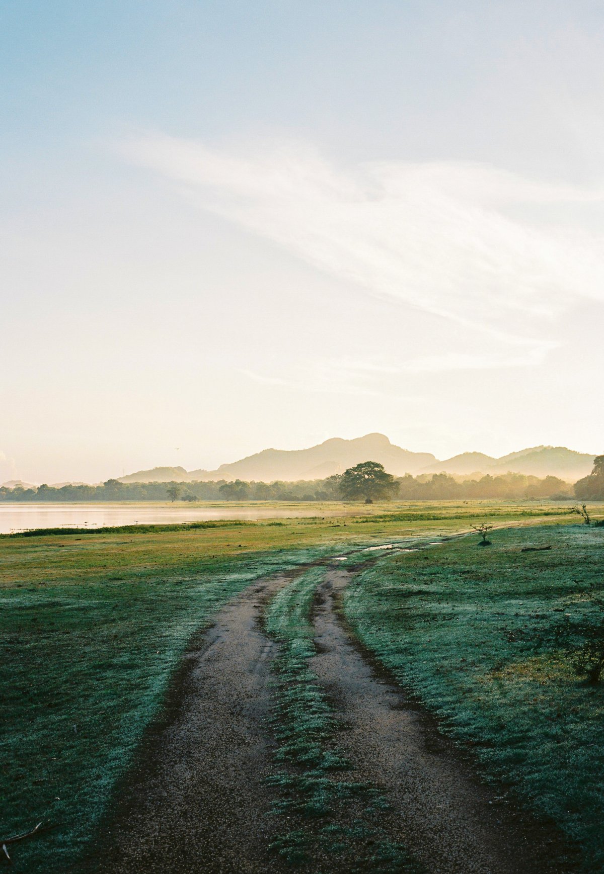 Kandalama 酒店丨斯里兰卡丨Geoffrey Bawa-12