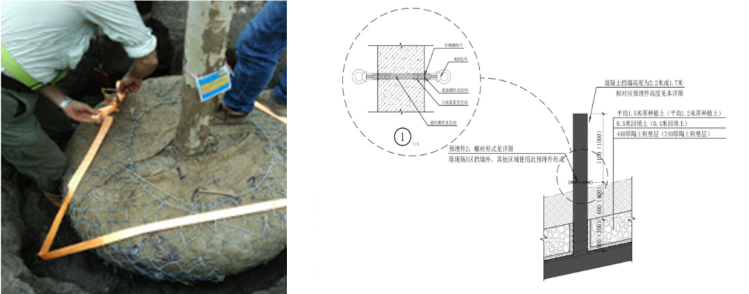 A-TECH•项目丨虽由人作，宛若天成：全新人工构筑近自然山体景观设计探索——上海世博文化公园“双子山”景观工程-121