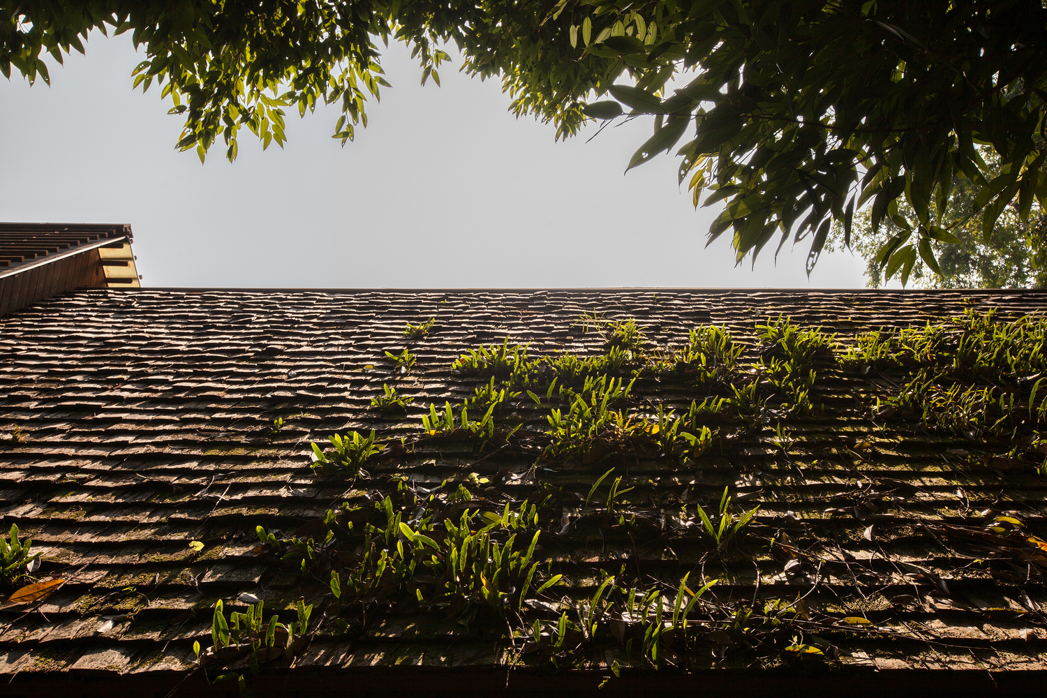 泰国 Hill Lodge 度假村-24