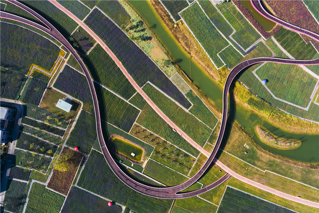 宿迁三台山花田织锦丨中国宿迁丨土人设计（Turenscape）-38