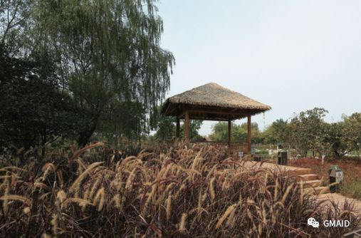 西安沣东农博园提升项目 | 绿色雕塑与现代农业的完美融合-44