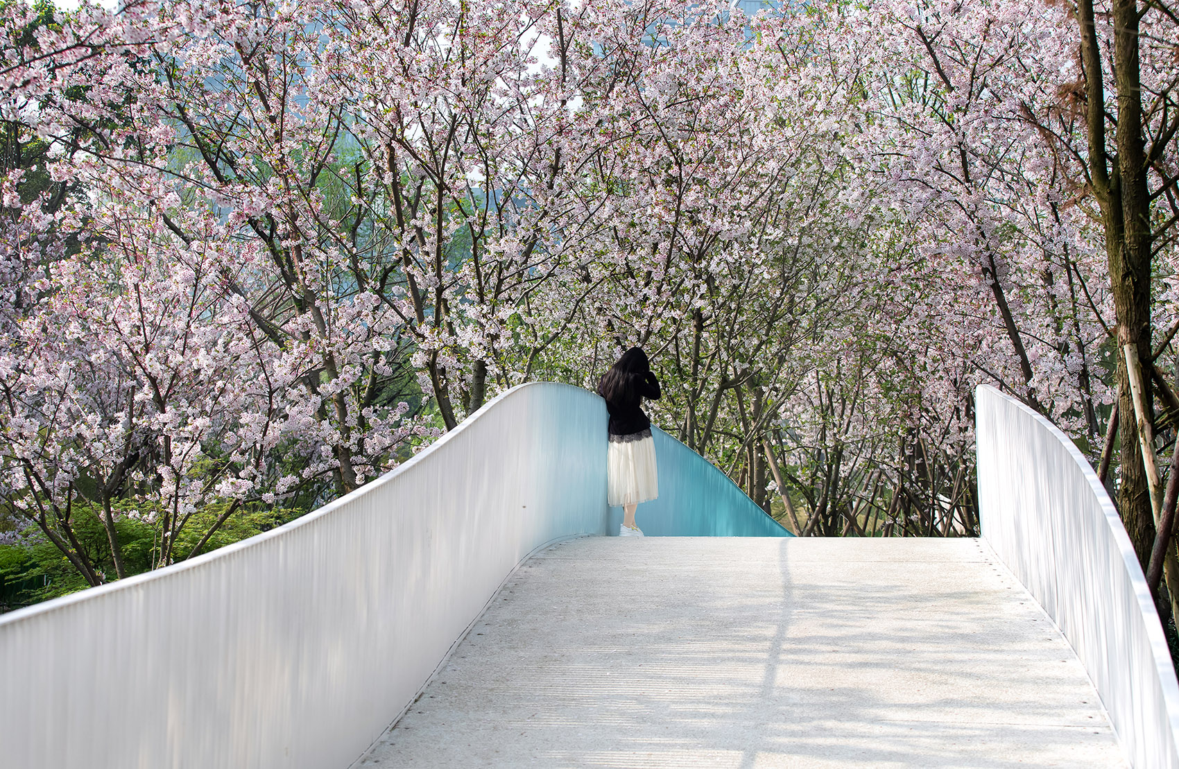 成都麓湖皮划艇航道景观丨中国成都丨纬图设计机构-44