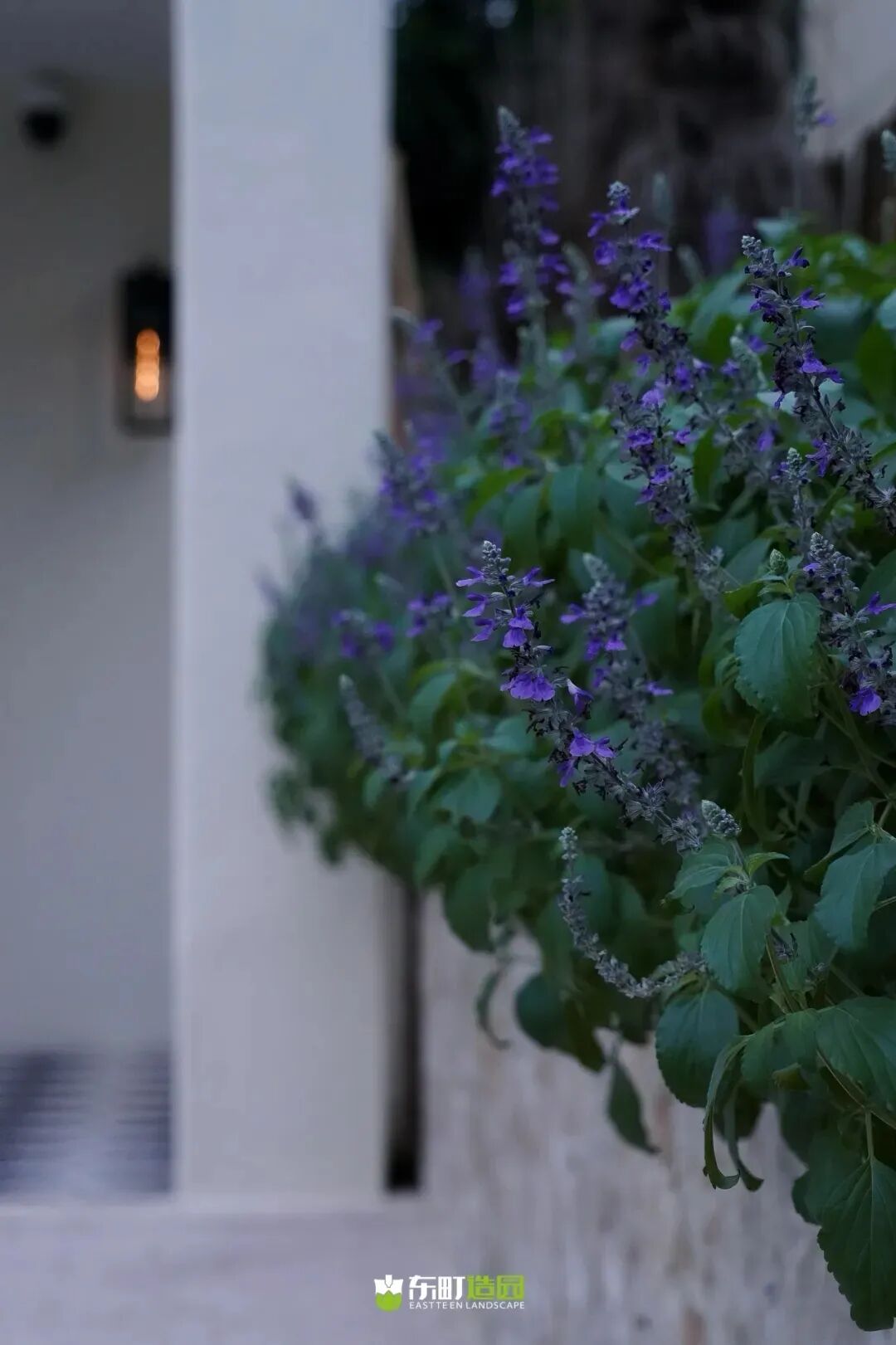 EASTTEEN LANDSCAPE系列庭院设计（含碧云诗境等5个）-57