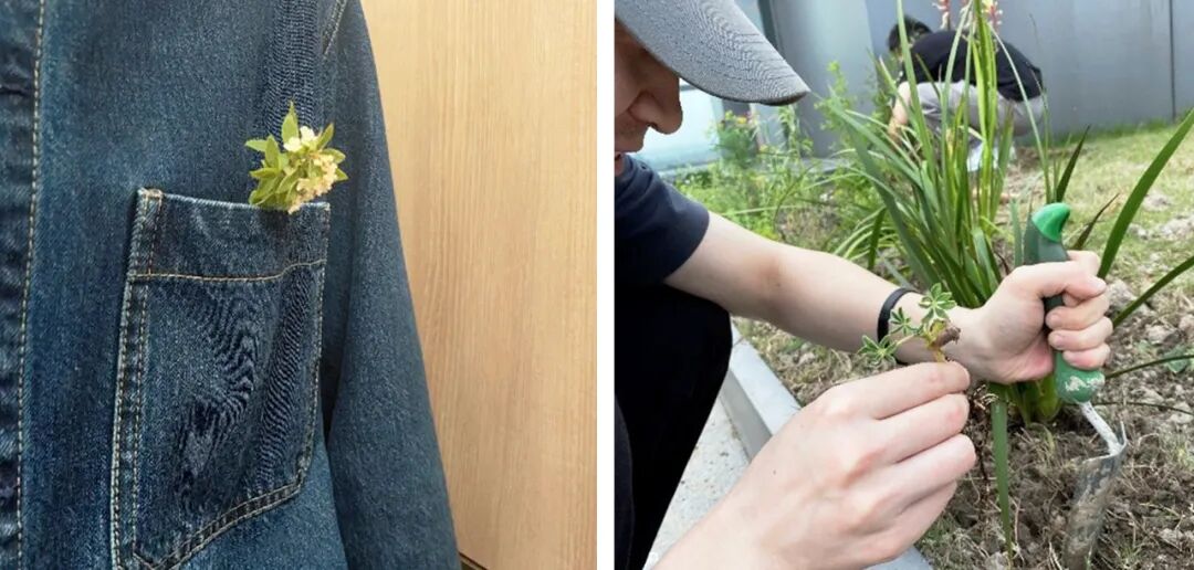 张唐探索|孤芳自赏的勇气——有.园张唐景观屋顶花园一年更新-145