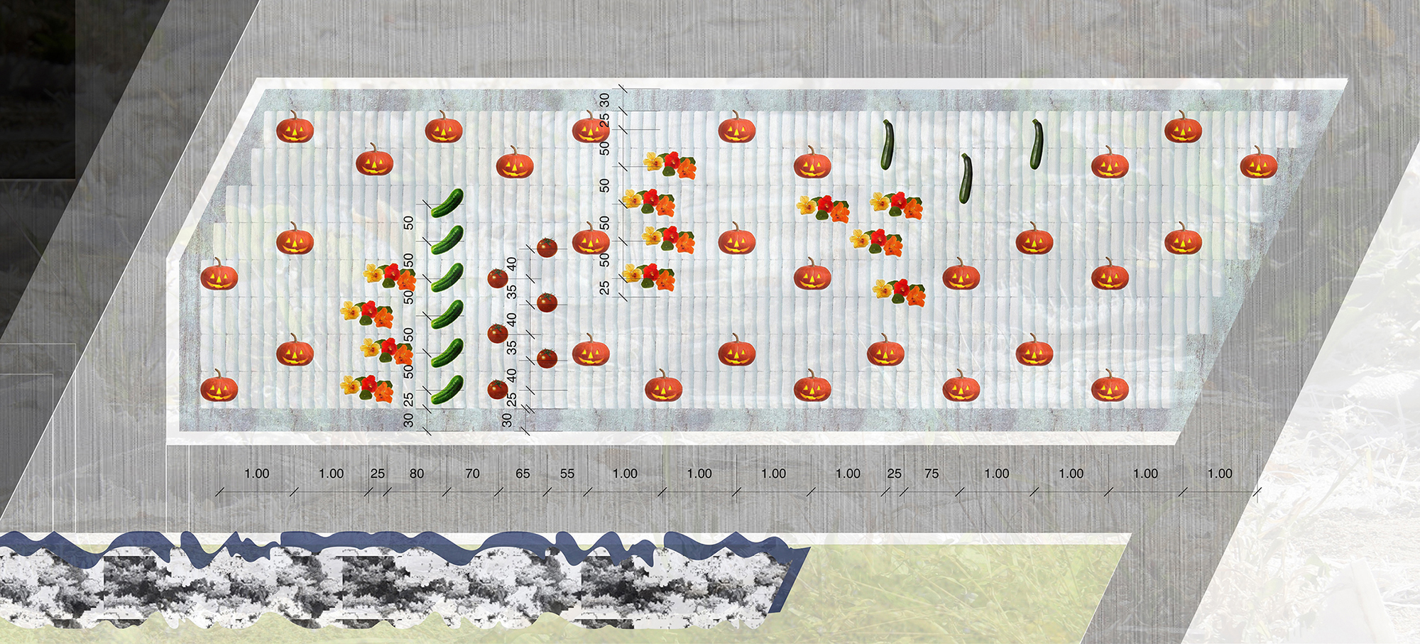 速溶花园丨加拿大温尼伯-5
