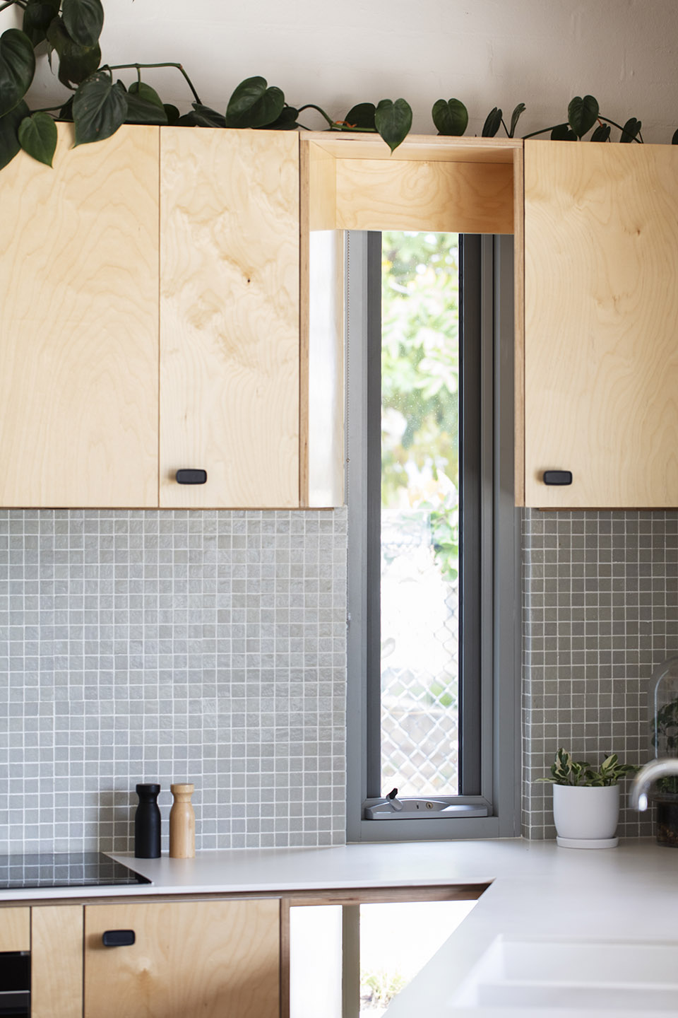 Macdonald Road 住宅丨澳大利亚珀斯丨Philip Stejskal Architecture-43