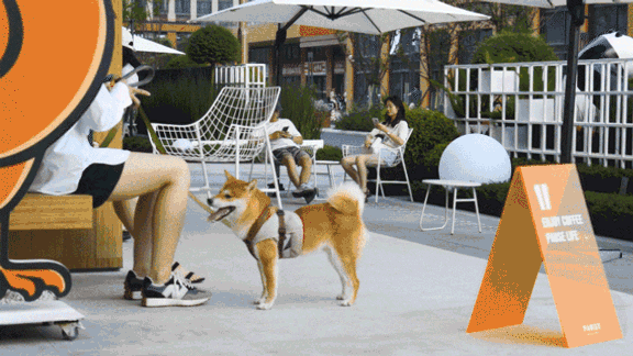 街角的更新 | 万科·城市生长馆-72