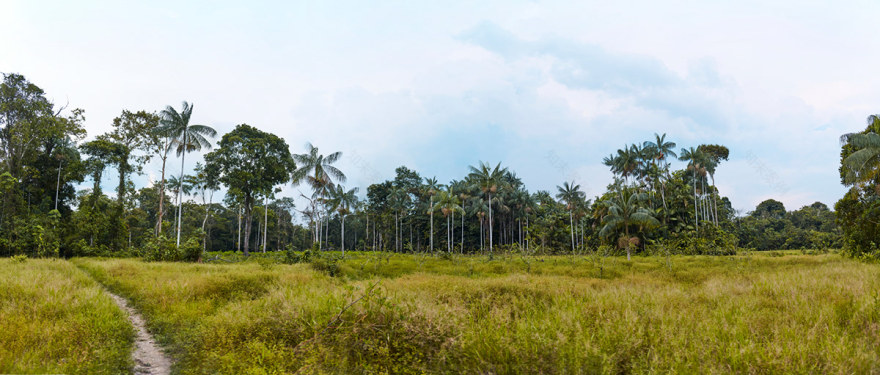全景之美 · 捕捉世界的壮丽瞬间-4