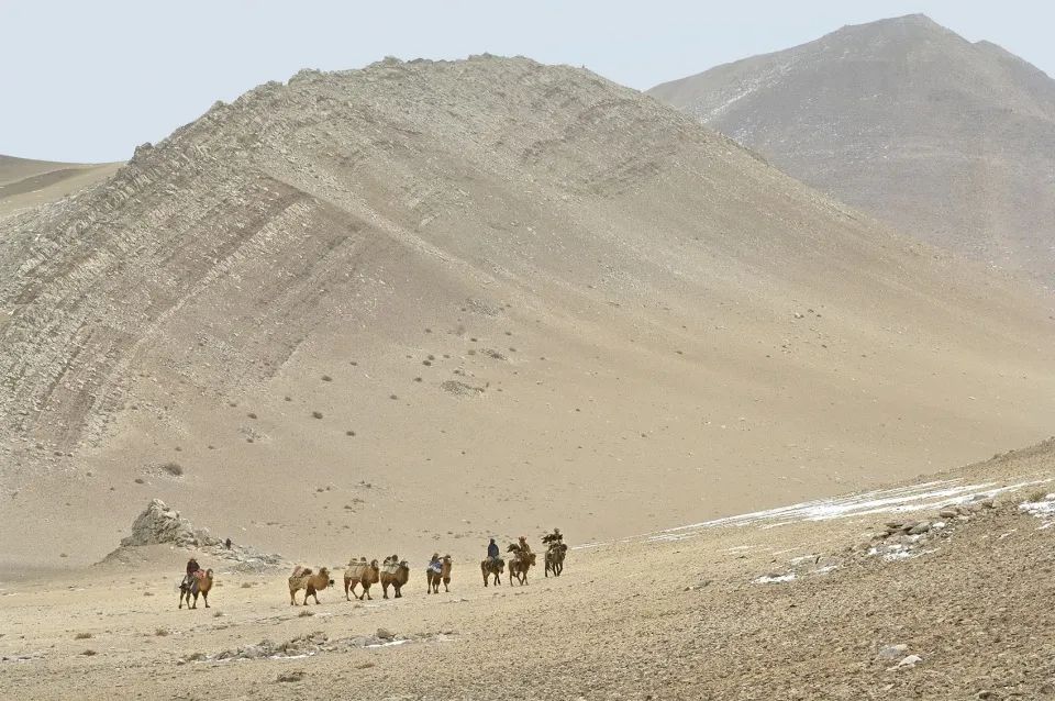 蒙古旅行记忆 · 摄影展:“回到自然”-13