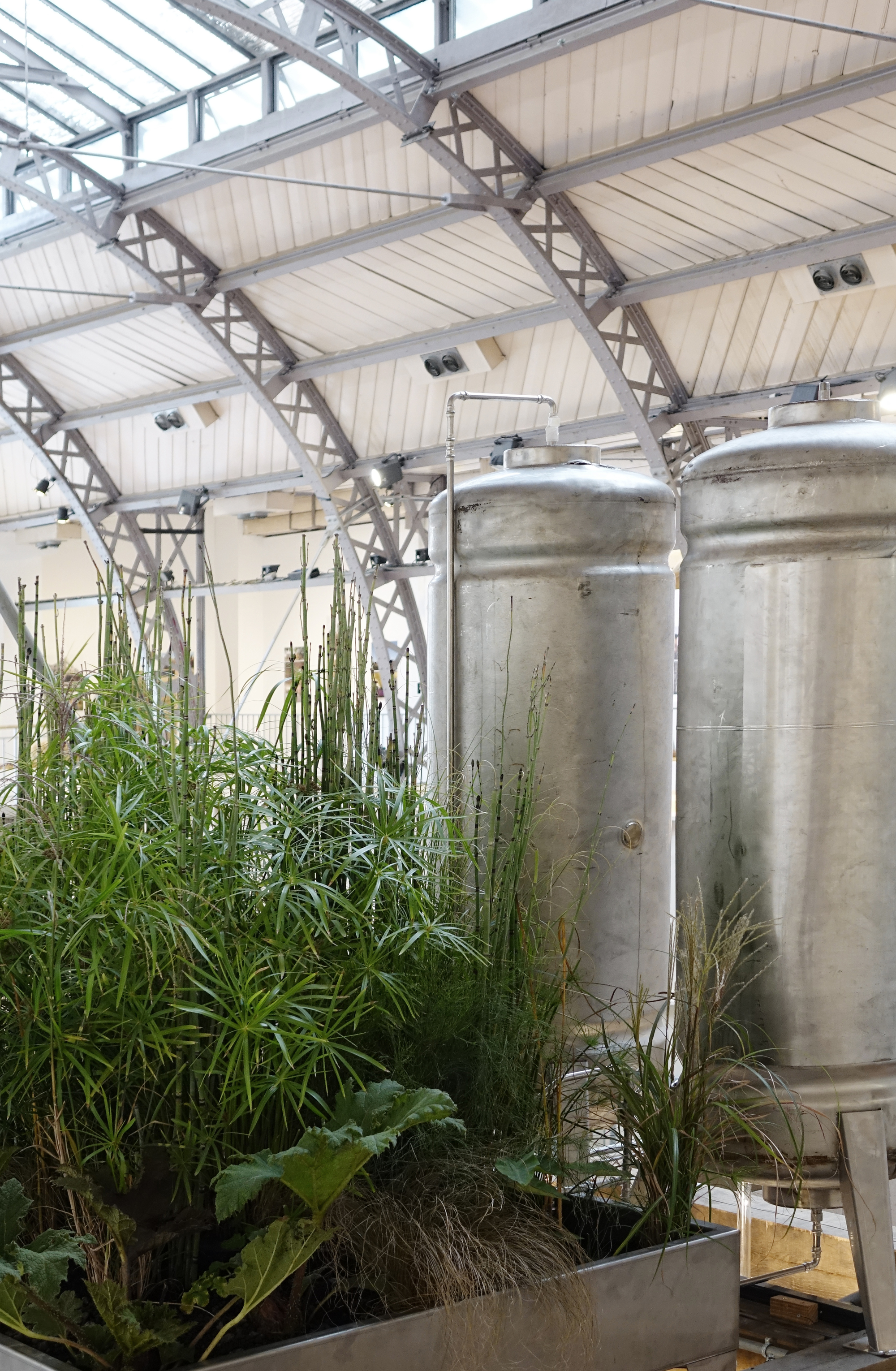 A Room For Tomorrow Prototype / ciguë-33