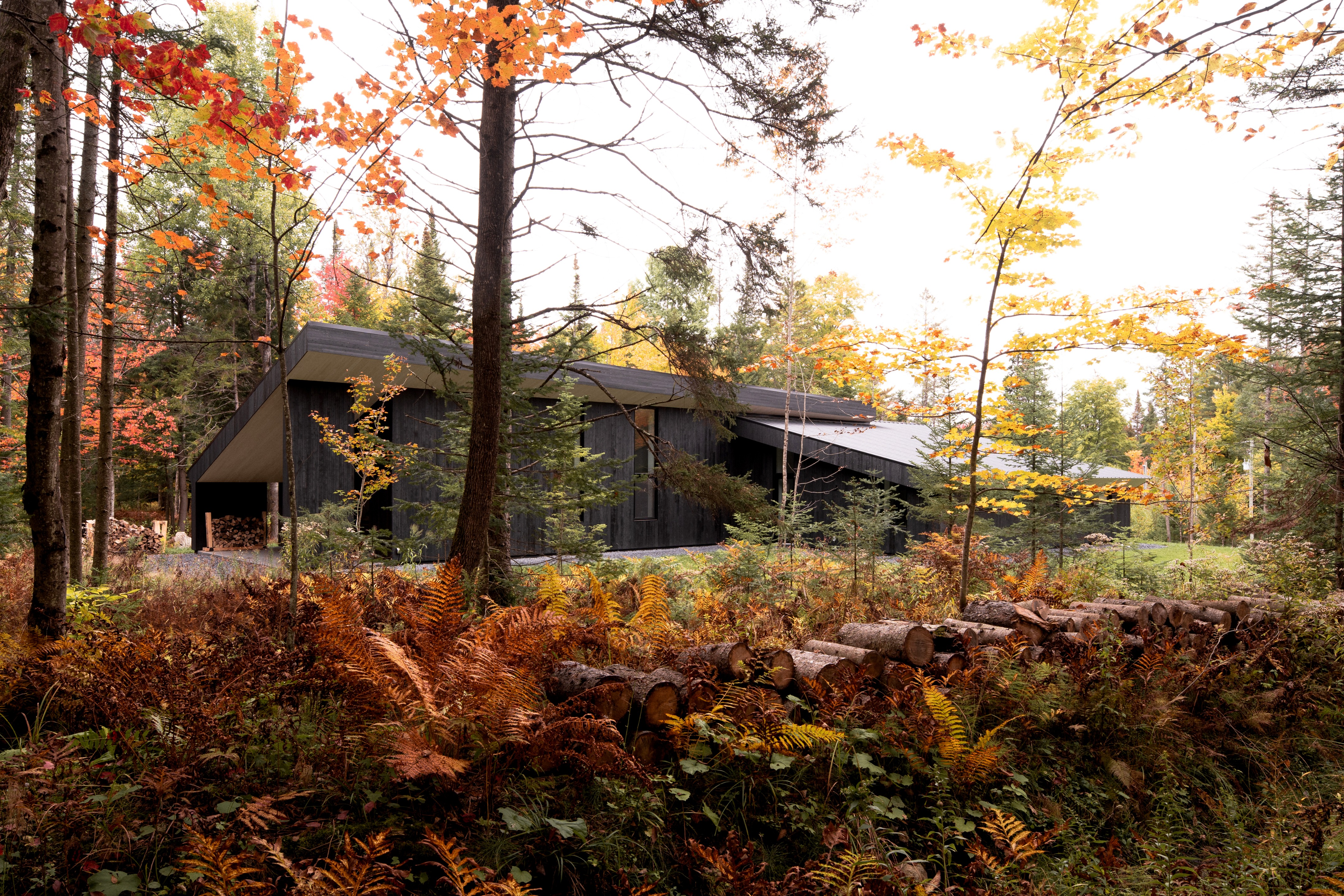 加拿大森林中的艺术创作绿洲丨Nicholas Francoeur-33