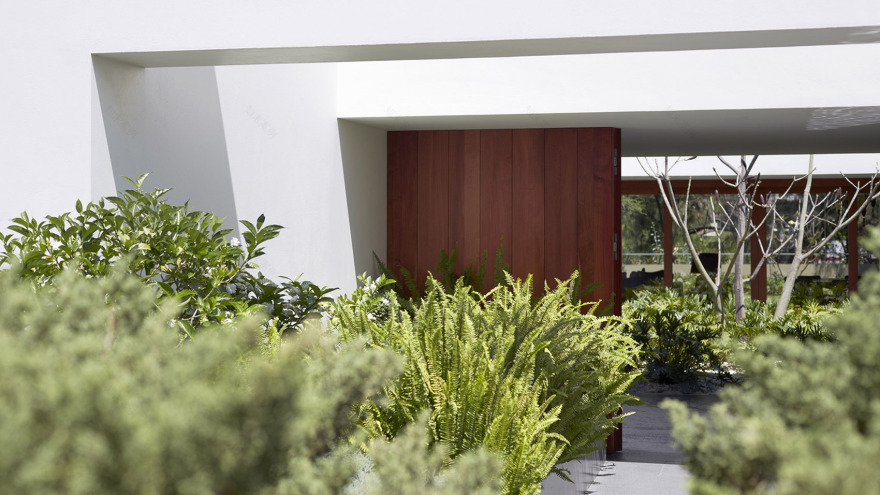 LL328住宅,墨西哥 / CDM-8