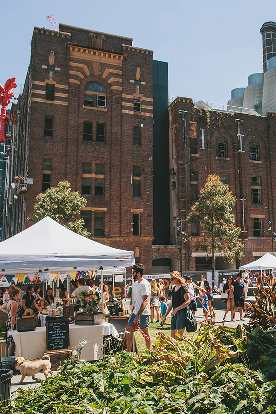 澳大利亚中央公园公共区域丨澳大利亚悉尼丨Turf Design Studio-15