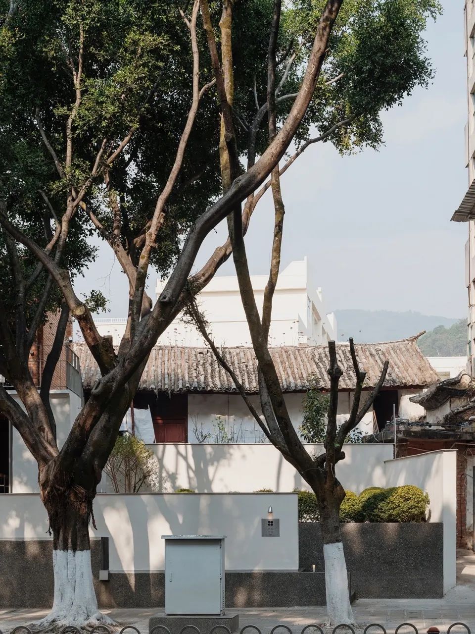 拾号建筑｜气味咖啡：旧房新生-38