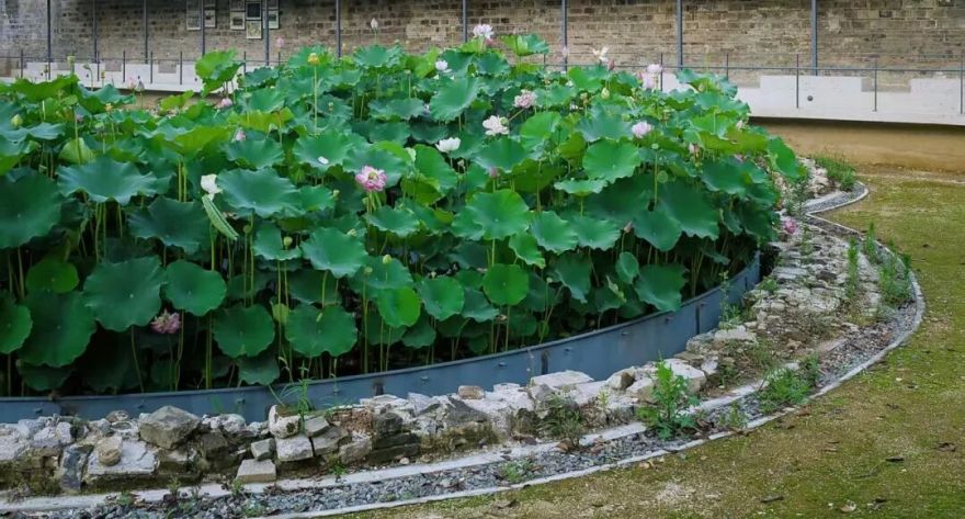 东大“黑科技”,获国际大奖!-27