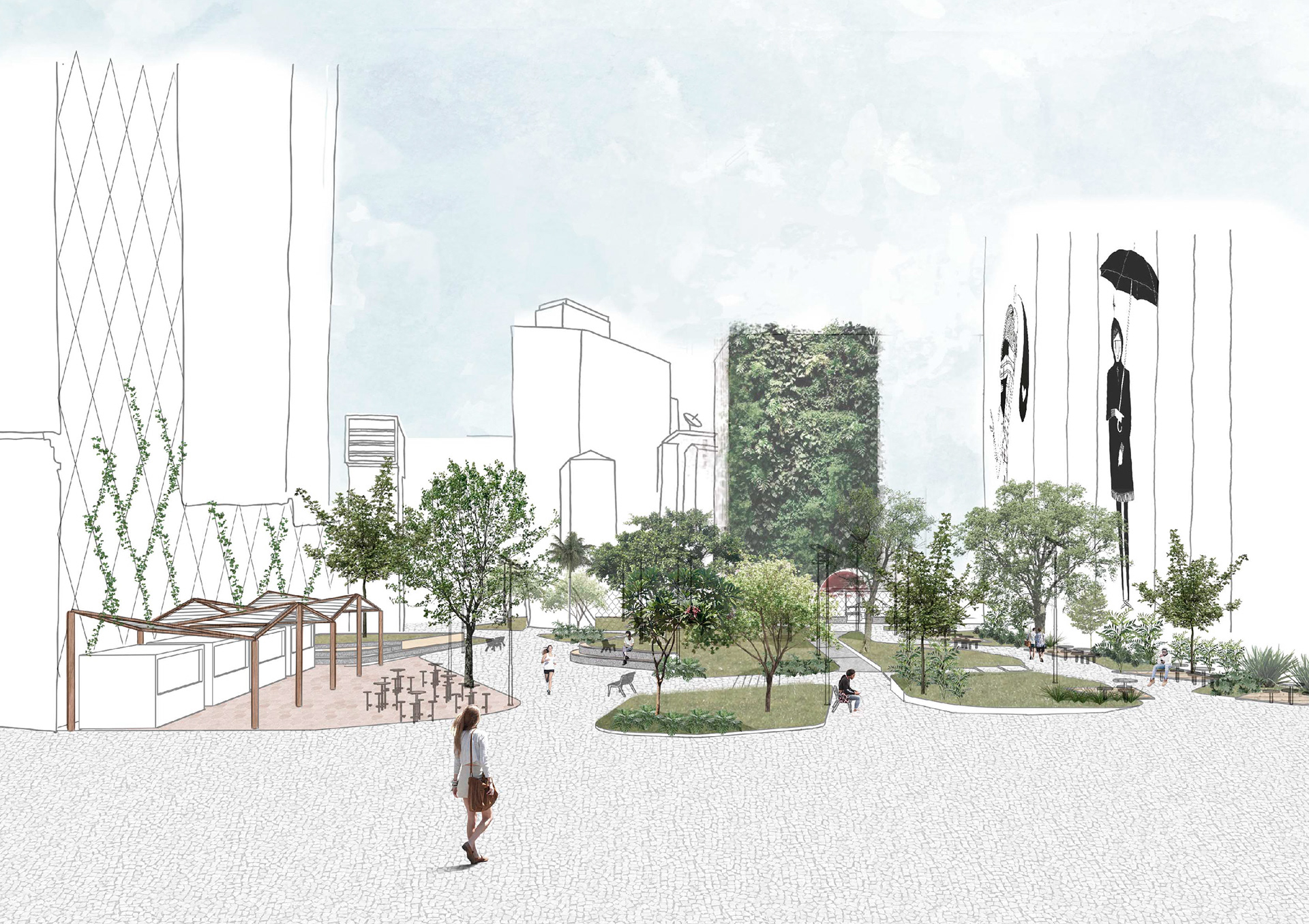 城市生物群丨巴西圣保罗-18