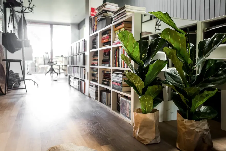 自然色彩的瑞典海滨别墅-10