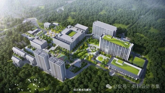 医养融合,怡然自得-9