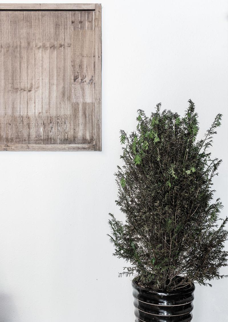 老居民区里的中医理疗空间设计-18