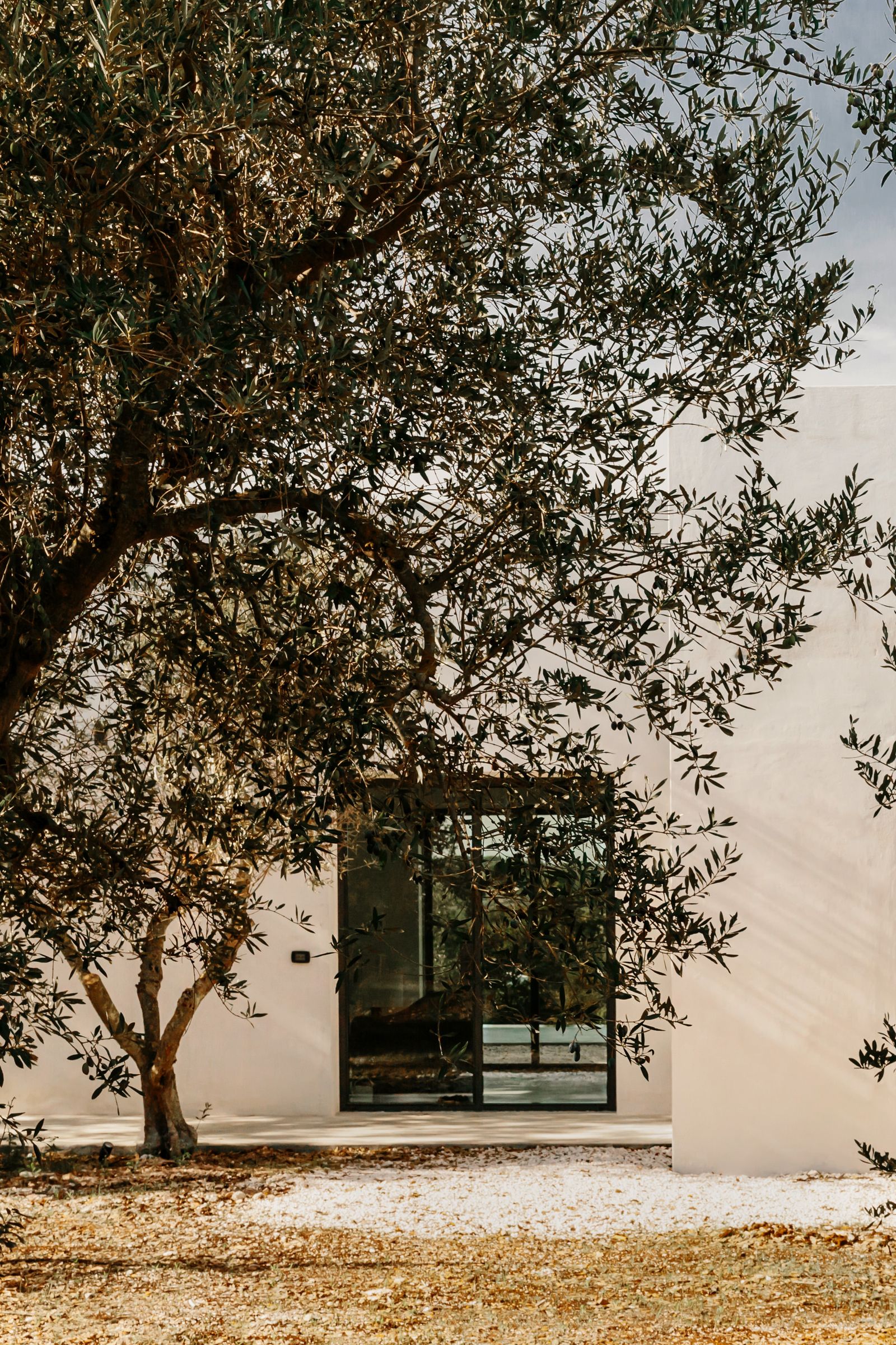 丨意大利丨Andrea Vergati及其创意工作室-12