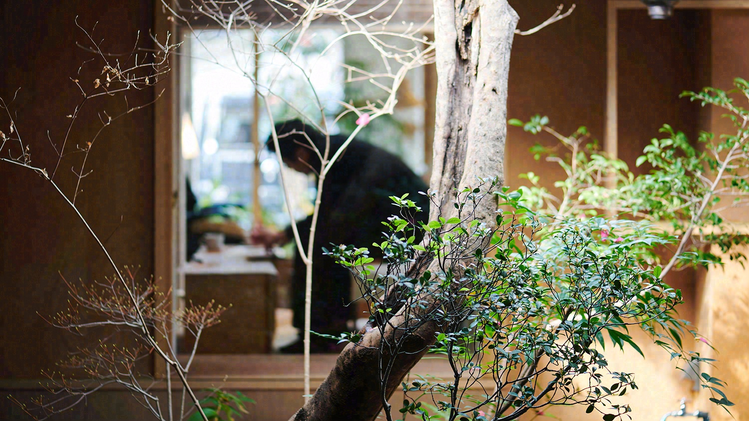 一乘寺,奈良总公司丨日本奈良丨Hitotomori 建筑设计事务所-57