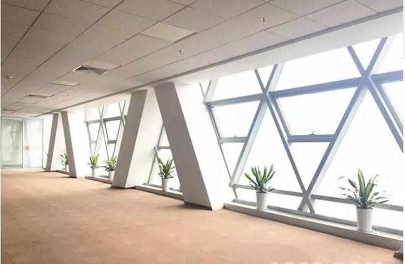 深圳市沸腾创业投资有限公司-49