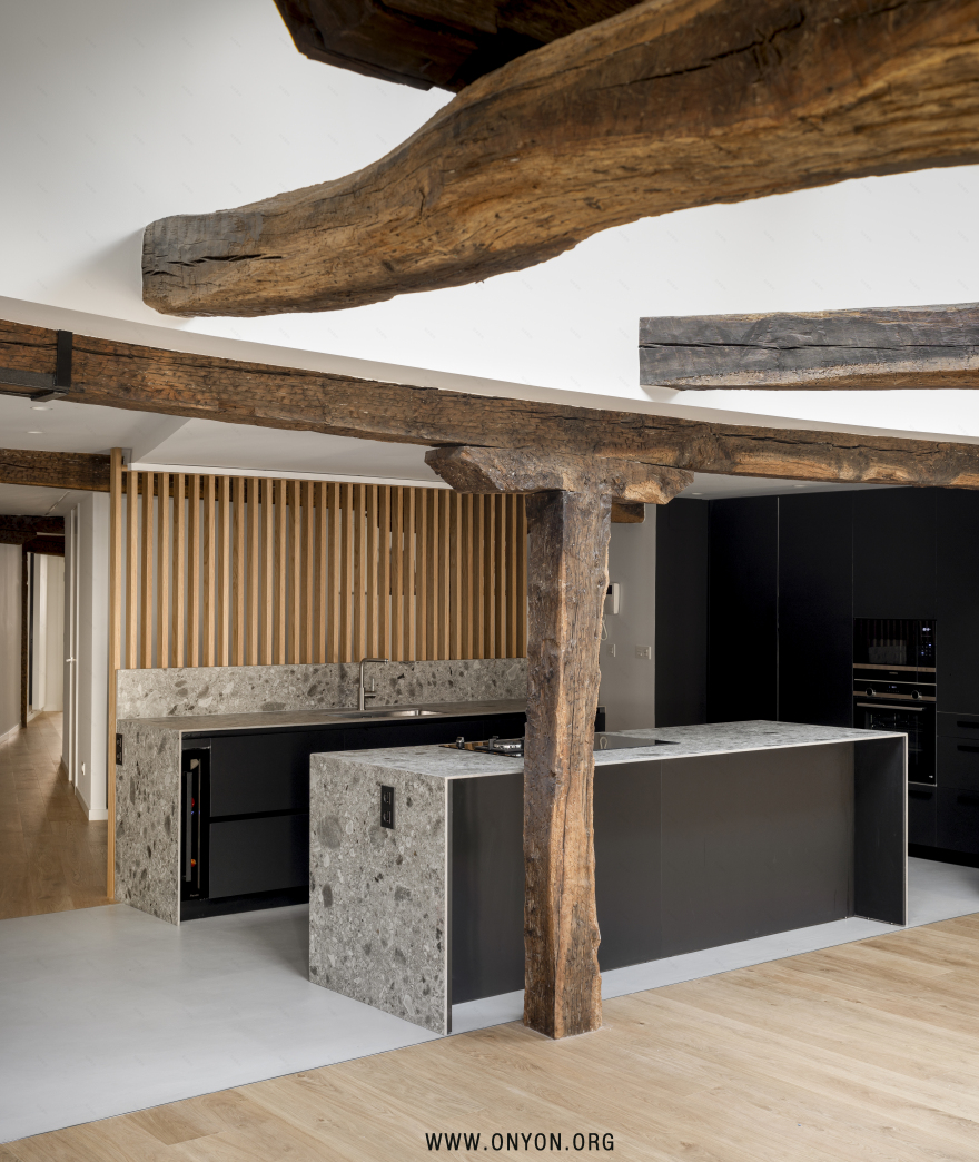 NV12(这是一个特定的图像格式术语,一般直接使用英文缩写,无需翻译)丨SpainVizcaya丨ONYON arquitectura + interiorismo-21