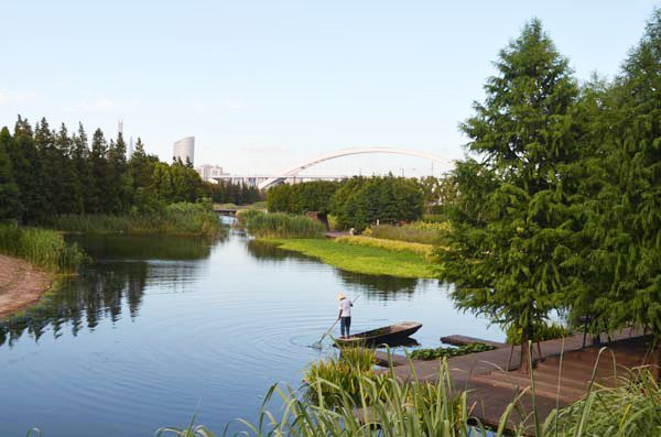 Turenscape’s Houtan Park（后滩公园）丨中国上海-14