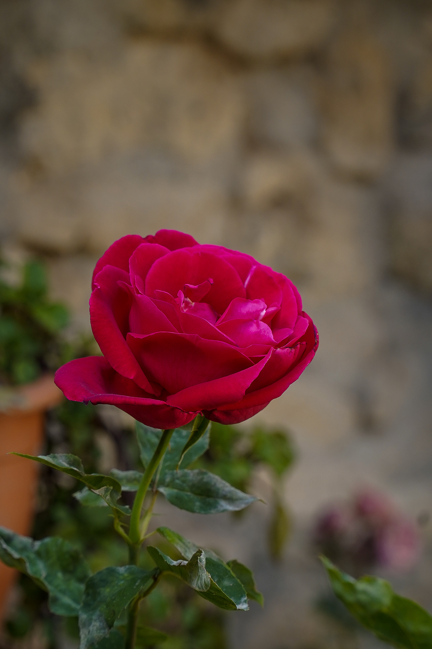 Anastasiya Gushchina丨乡村庭院丨La Encantada - 21丨西班牙-8