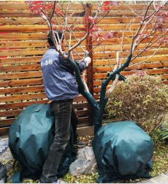 春季花园维护攻略，打造美丽庭院-23