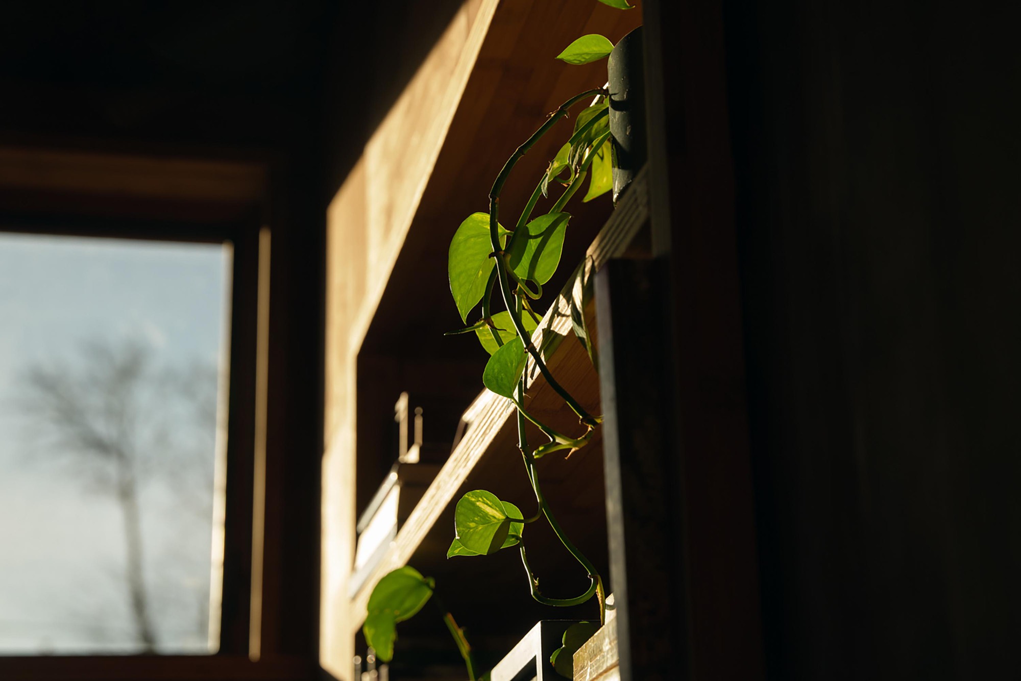 布朗之家丨美国华盛顿丨BLDUS-42